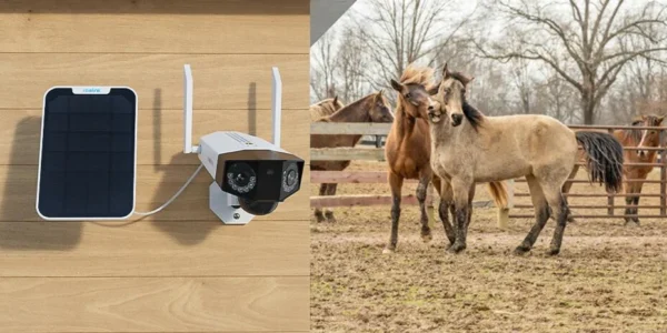 kamera ip reolink duo series g750 z panelem solarnym 11a965f5c9054a1dbc7bcca2c04e1ba2