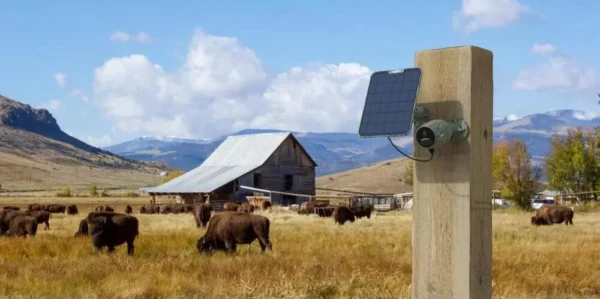 kamera ip reolink go series g330 z panelem solarnym 4ad5033afa0f4747b0cb79c4b269f7f2