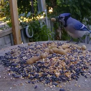 kamera ip reolink go series g330 z panelem solarnym 675a18624cd544f1a1fc6ceb91bc8c51