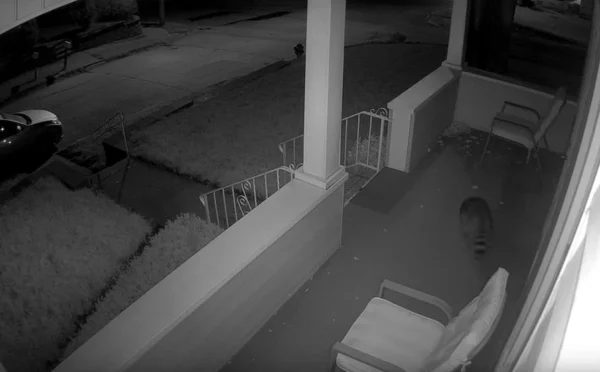 kamera ip reolink go series g330 z panelem solarnym 7d137f5675c8442c8544536a2e7d7042