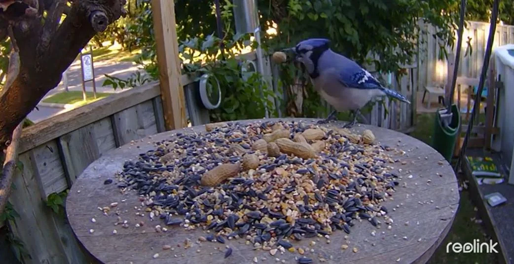Wyraźny obraz. Więcej detali. Większe bezpieczeństwo.