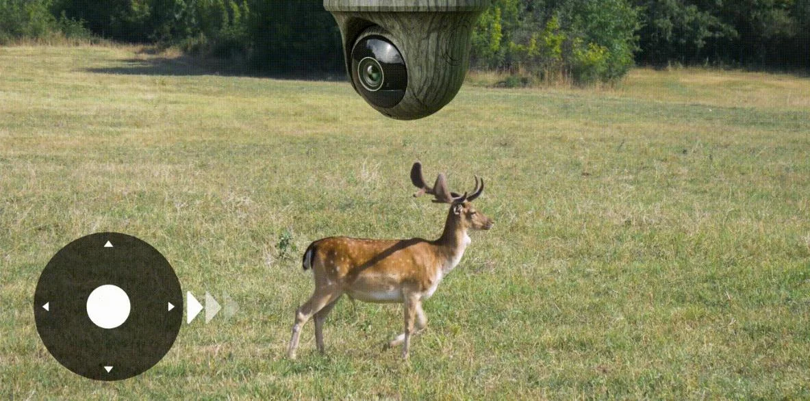 Kamera IP 3G/4G LTE Reolink GO Series G450 – inteligentne wykrywanie bez dodatkowych opłat