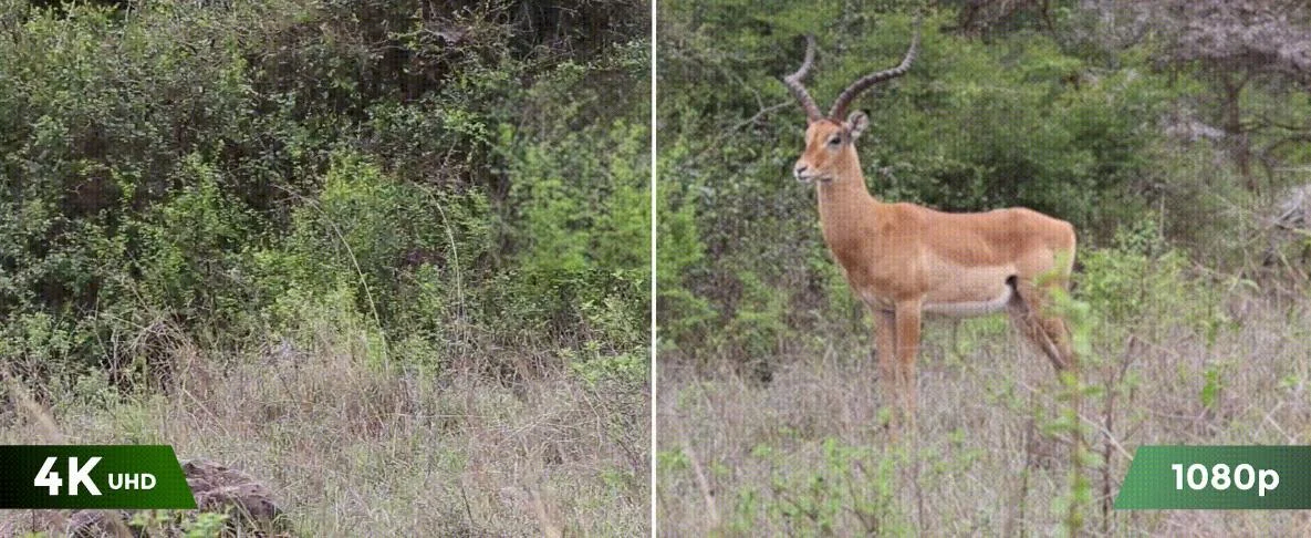 Akumulatorowa kamera fotopułapka IP 3G/4G LTE z panelem solarnym i funkcją PT