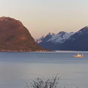 kamera ip reolink p320 5mp poe biaa ff69c6ee0df74649a65a8a71c9df8fc5