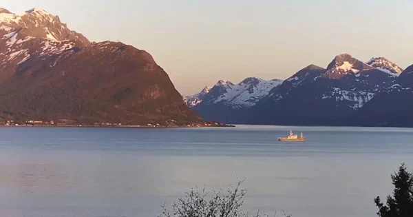 kamera ip reolink p320 5mp poe biaa ff69c6ee0df74649a65a8a71c9df8fc5