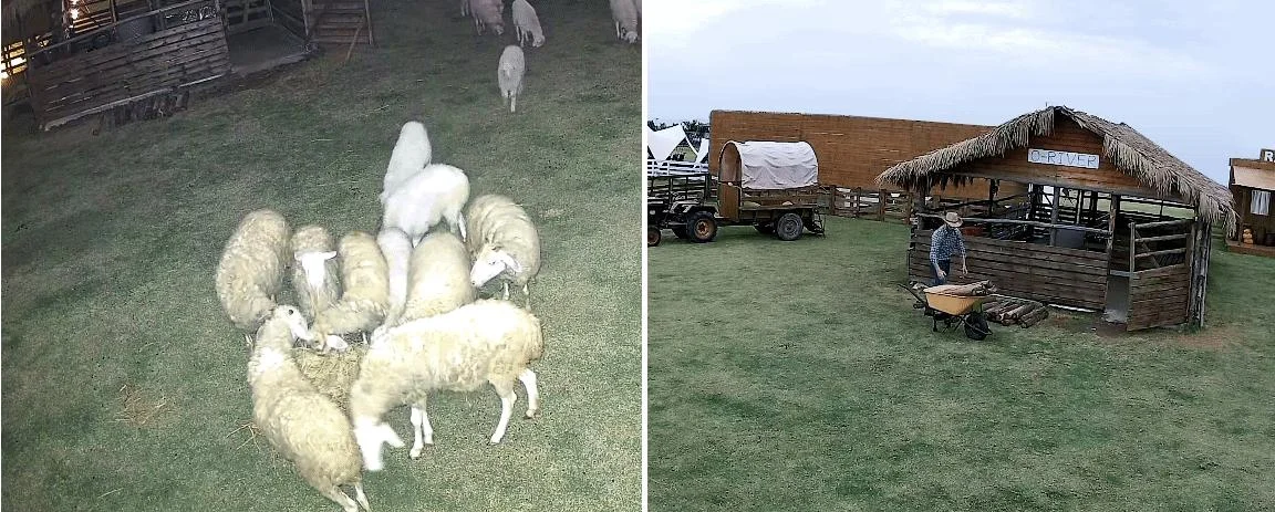 Reolink TrackMix 2K 4MPx LTE Plus z panelem solarnym Reolink Plus - dwa inteligentne tryby nocne i rozdzielczość 2K 4MPx