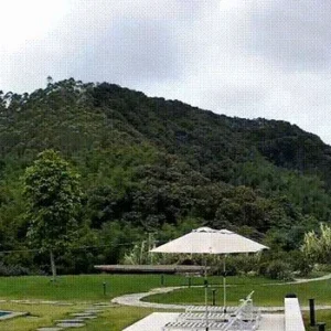 kamera ip reolink w430 wifi 8mp 5x zoom 24ghz 5ghz 5e11ef73cdad4fe99d7e50b8568f4893