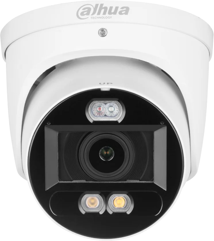 Najważniejsze cechy