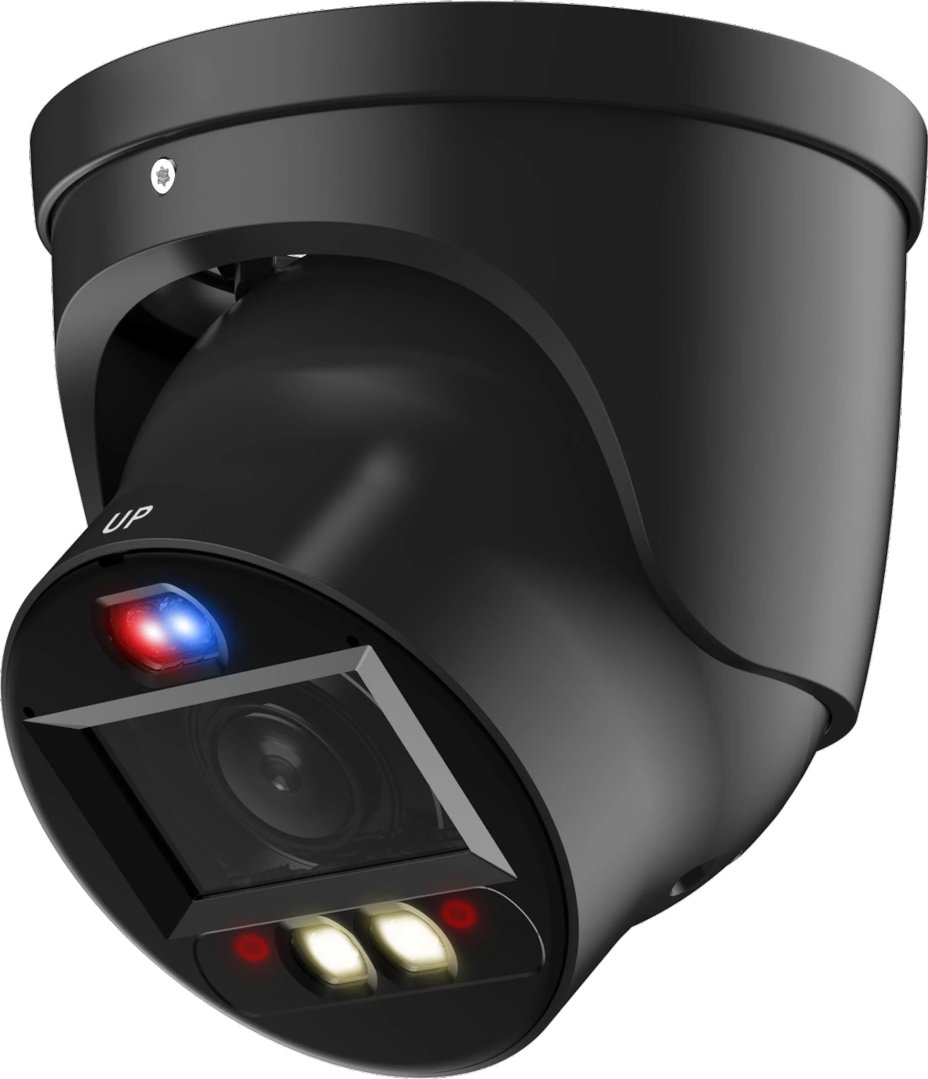 Najważniejsze cechy