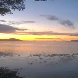 kamera ip wifi reolink w320 5mpix wi fi p2p czarna e4ddd4b1ffc7488a96daedebfa0e5c19