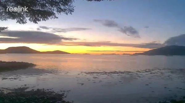 kamera ip wifi reolink w320 5mpix wi fi p2p czarna e4ddd4b1ffc7488a96daedebfa0e5c19