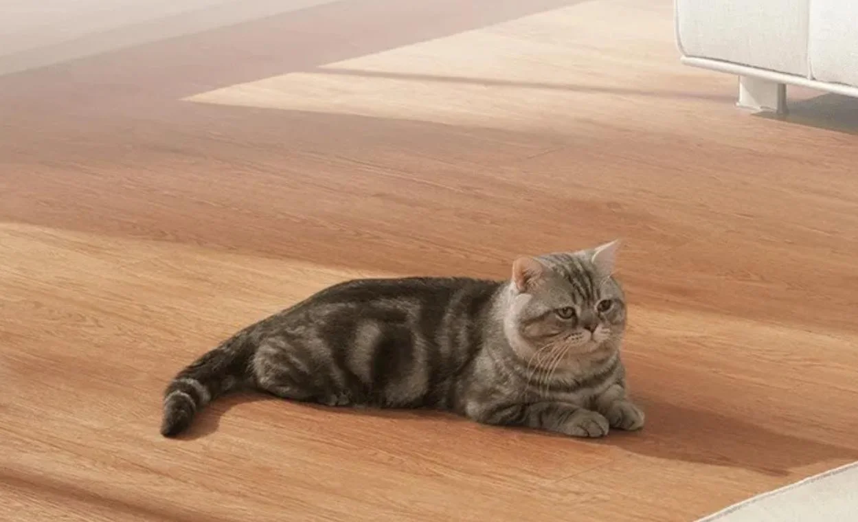 Obrotowa kamera monitorująca IP Xiaomi Smart Camera C500 Pro - funkcja wykrywania zwierząt: dla dobrostanu Twoich pupili!