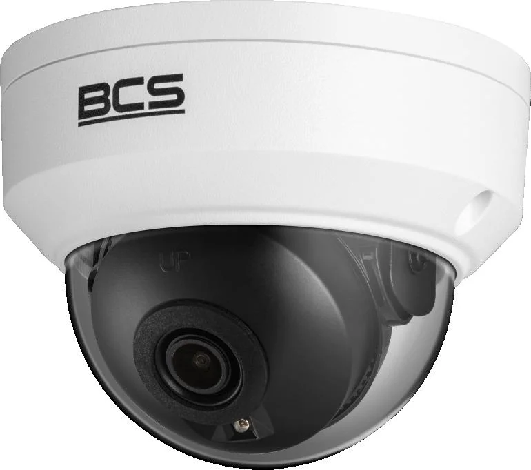 Najważniejsze cechy