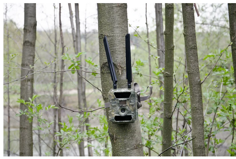 Kamera Leśna FOTOPUŁAPKA GPS 4.0CG + KARTA PAMIĘCI microSD GOODRAM UHS1 CL10 32GB