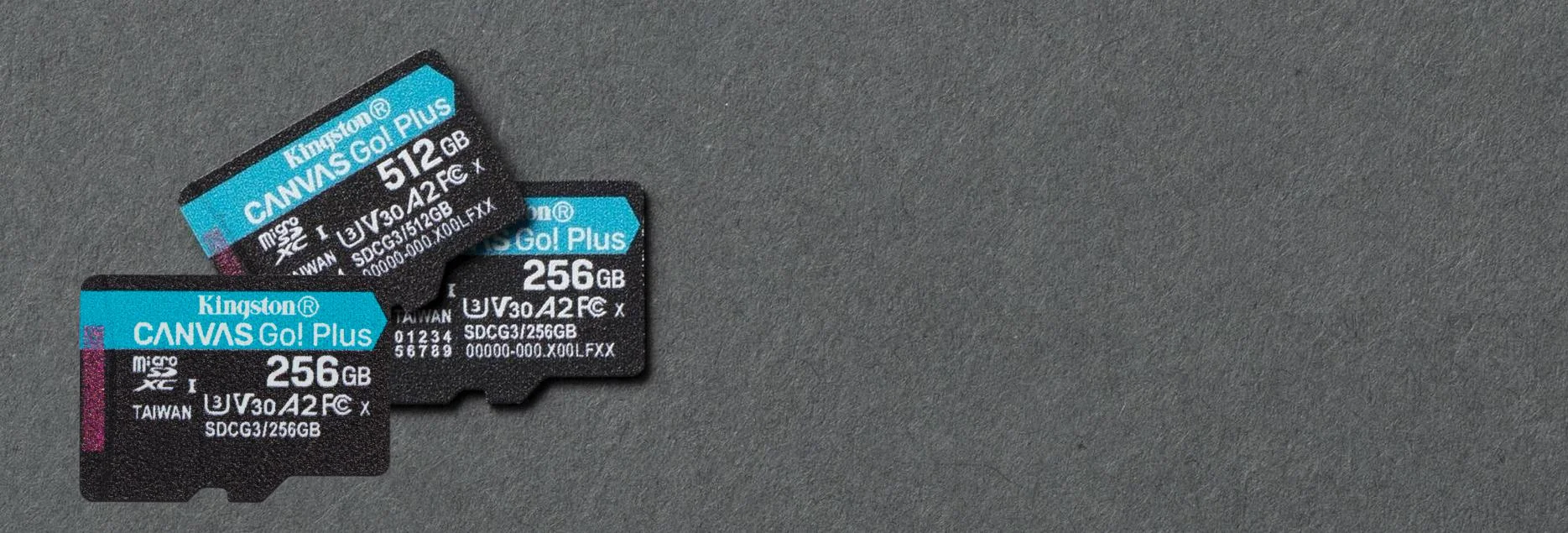 Karta pamięci microSD Kingston Canvas Go Plus microSDXC C10 UHS-I 256GB
