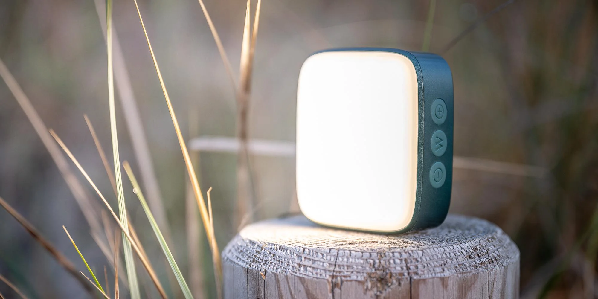 Lampa LED Newell Campina - zielona