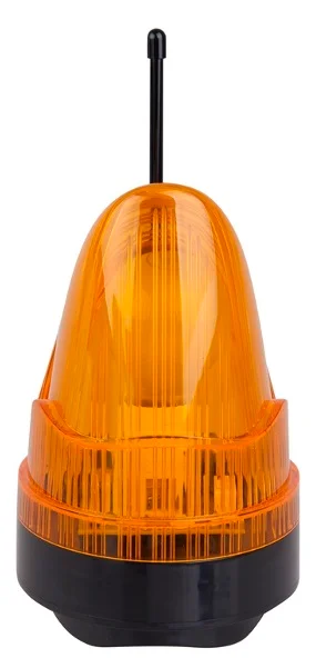 Najważniejsze cechy