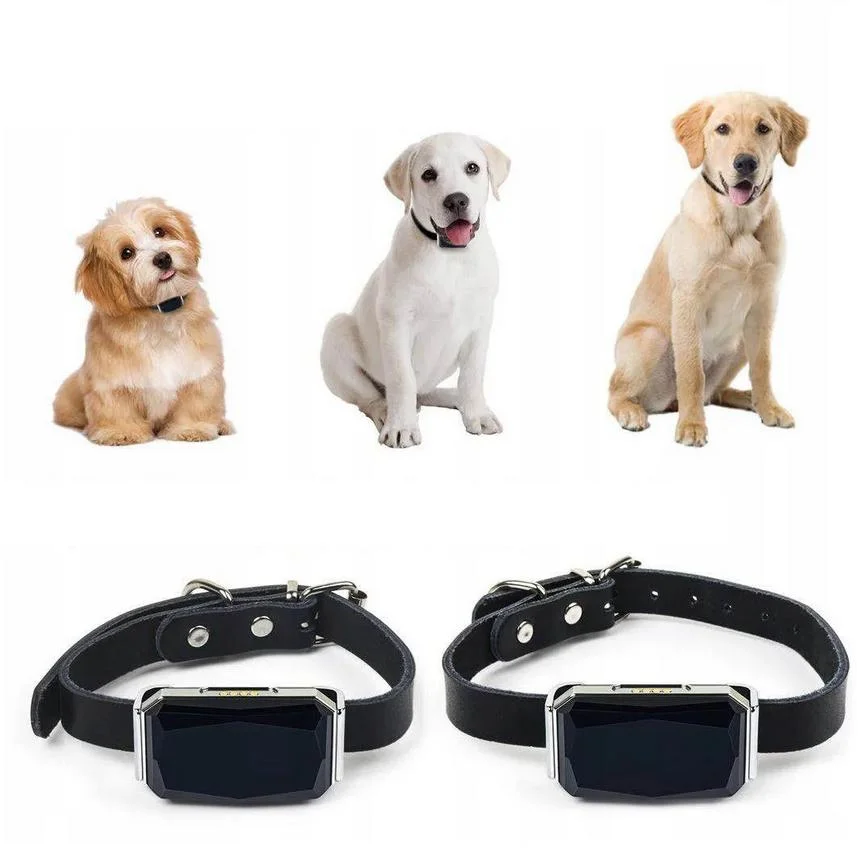 Mking MK12P - lokalizator GPS w obroży odpowiedni dla wielu zwierząt