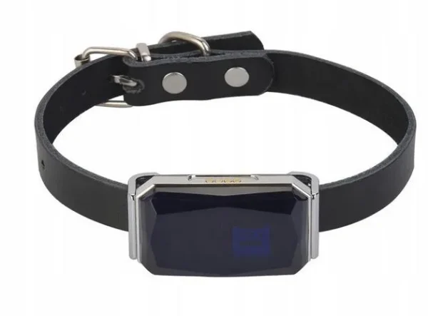 lokalizator gps mking mk12p dla psakota obroza 4e7ac97ef2674793b0f4aa0a6f89d898 lokalizator gps mking mk12p dla psakota obroza 4e7ac97ef2674793b0f4aa0a6f89d898