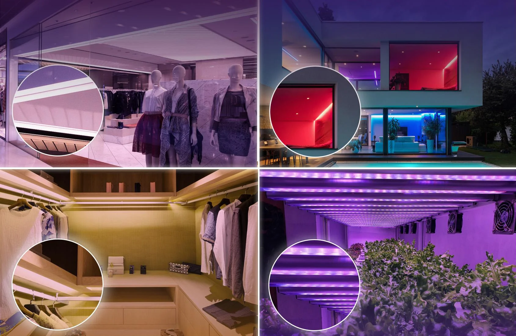 BleBox wLightBox v3 - moc przydatnych funkcji w jednym, niewielkim urządzeniu. Sprawdź, w czym Ci pomogą: