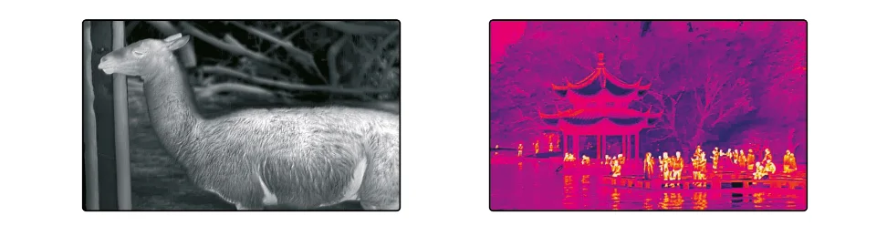 Profesjonalny przetwornik obrazu