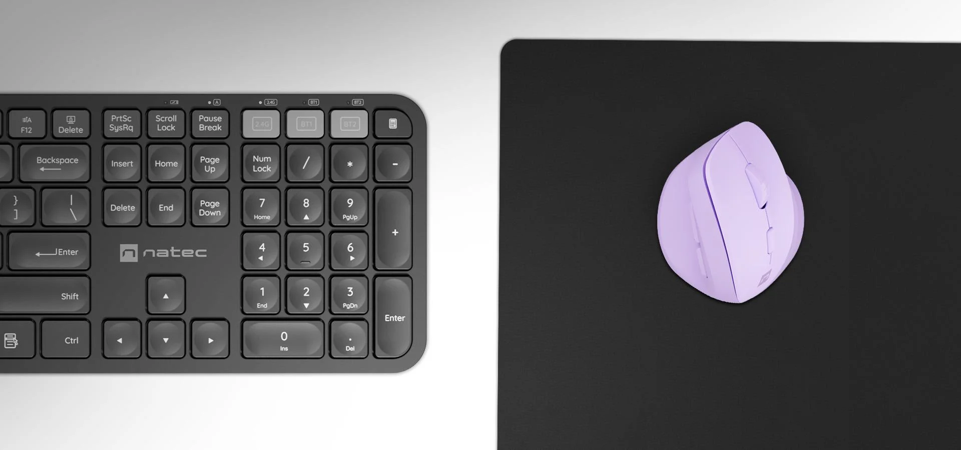 Mysz komputerowa Natec Crake 2 Pure Lavender