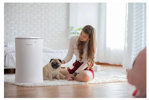 Oczyszczacz powietrza Rotenso Piura P22V R10