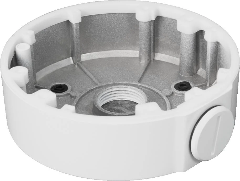 Najważniejsze cechy