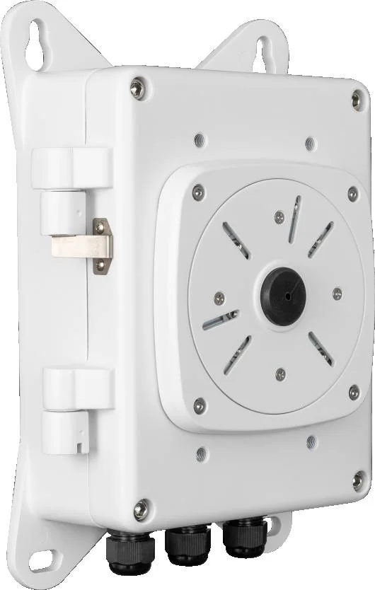 Najważniejsze cechy