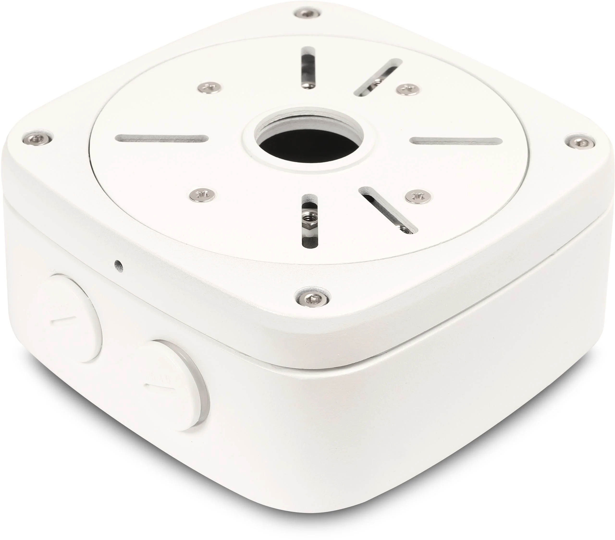 Najwazniejsze cechy: