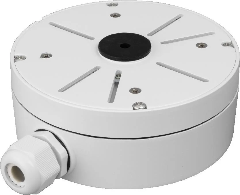 Najważniejsze cechy