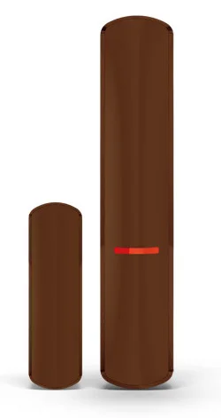 Najważniejsze cechy