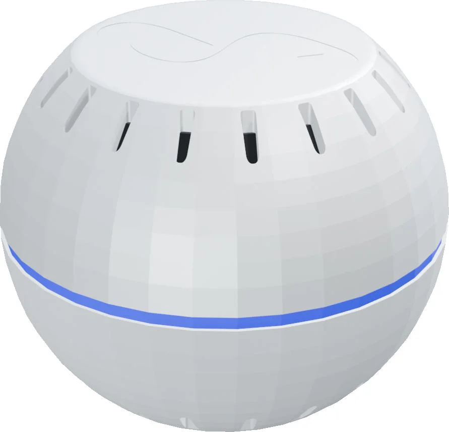 Shelly Wave H&T (2025)