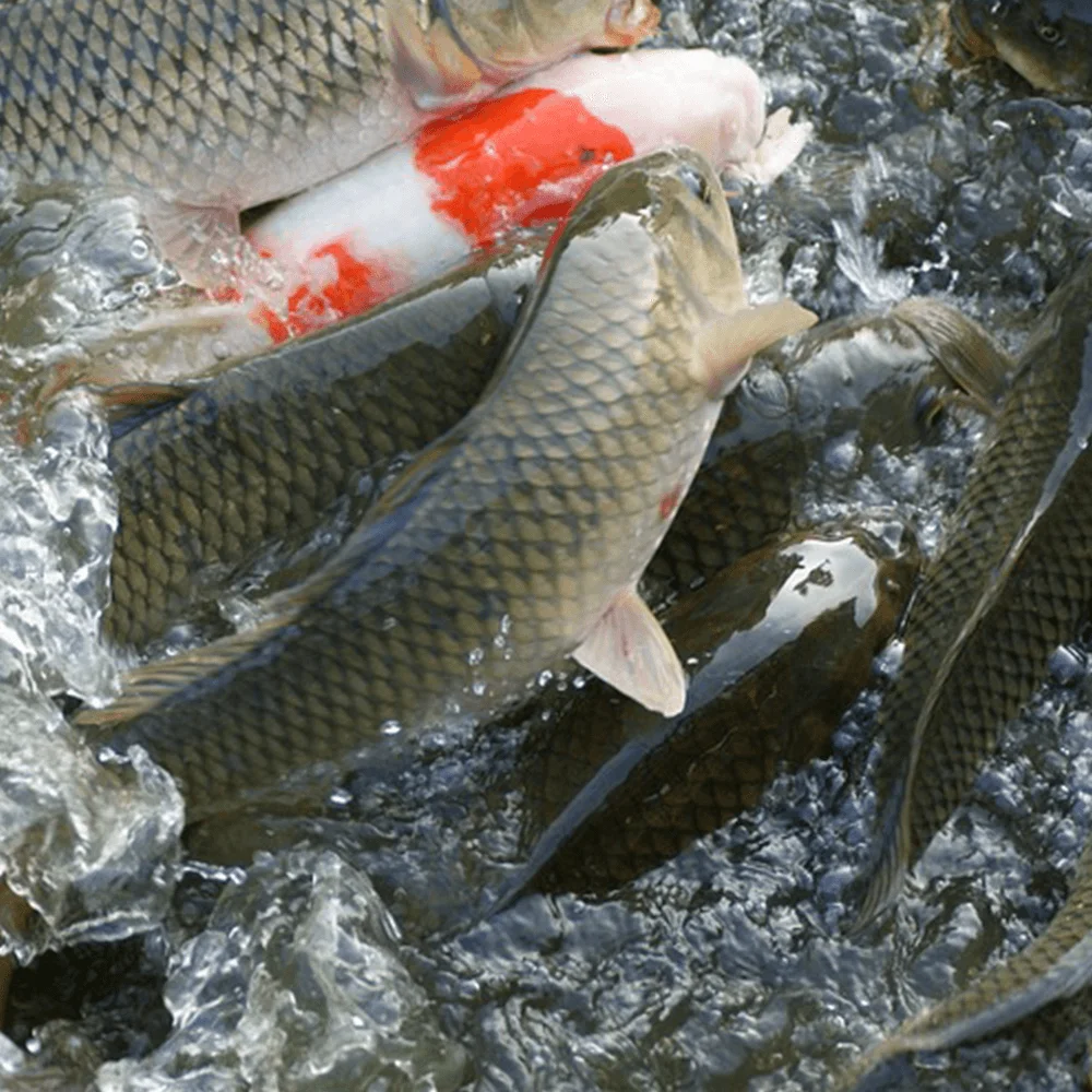 Solarna Kamera Zewnętrzna GSM LTE Akumulator ORLLO CAMSIM-2S