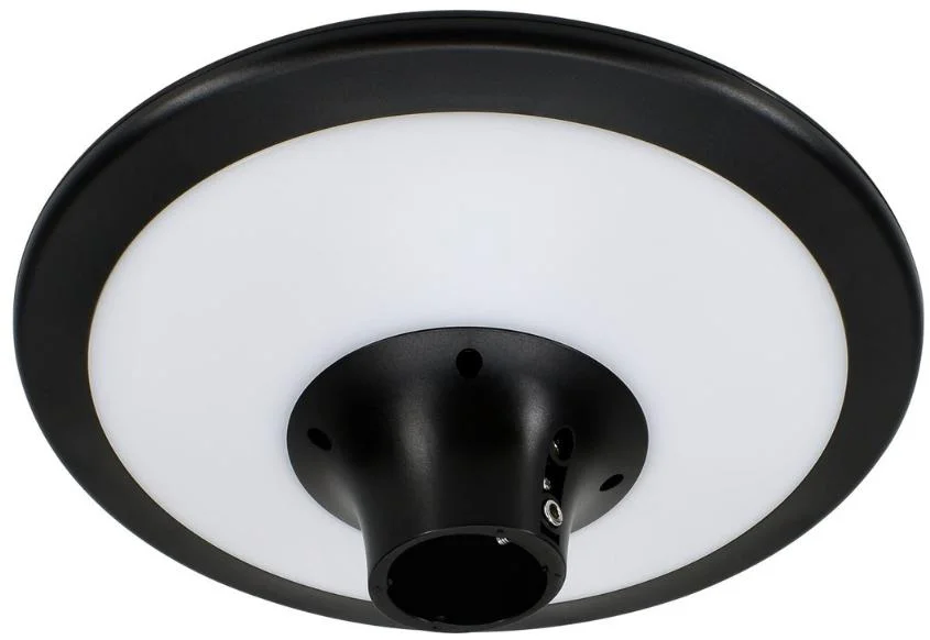 Najważniejsze cechy