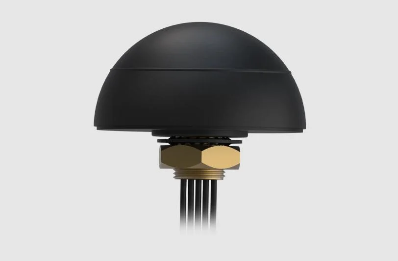 Dlaczego warto wybrać ten model?