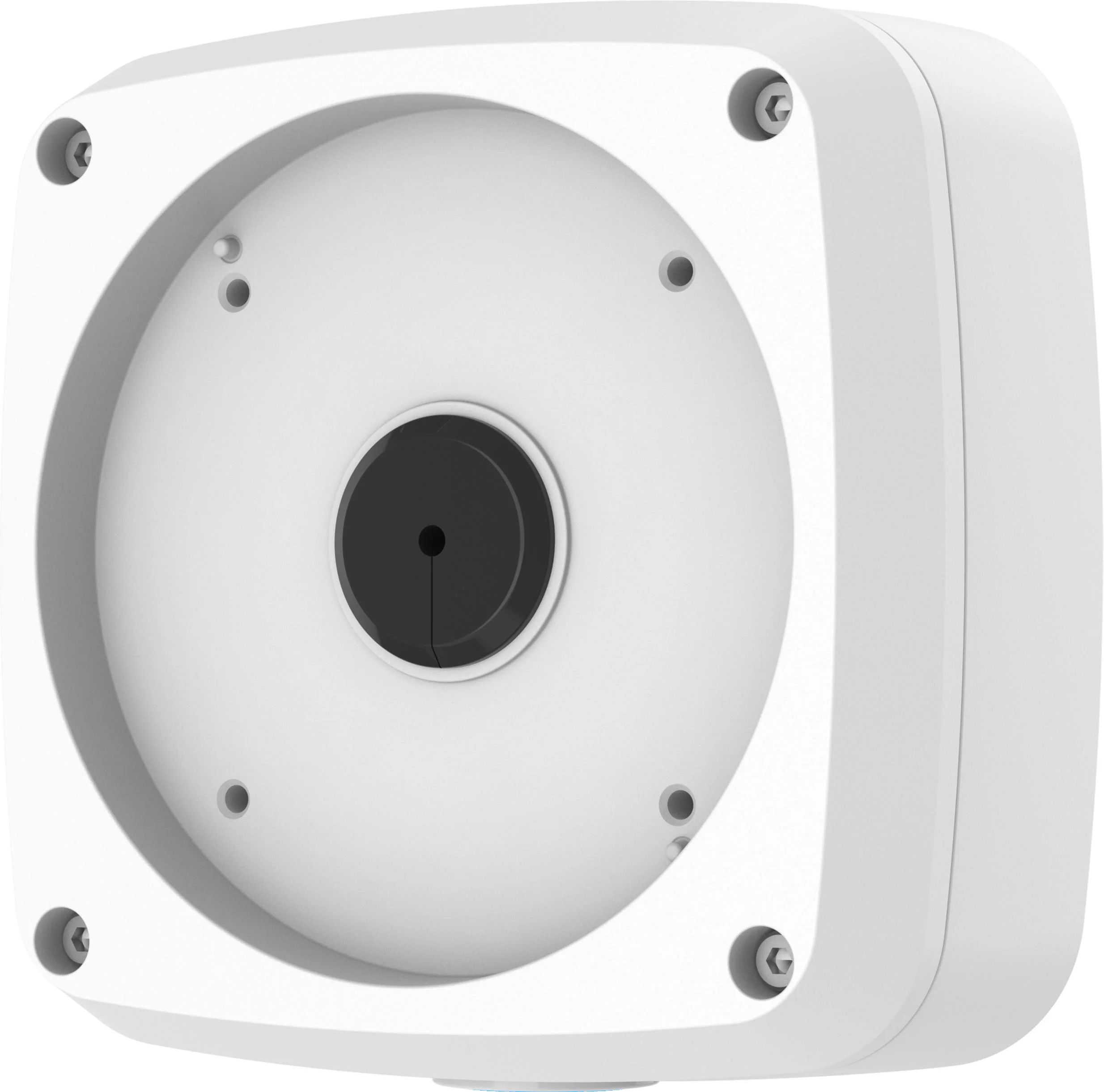 Najważniejsze cechy