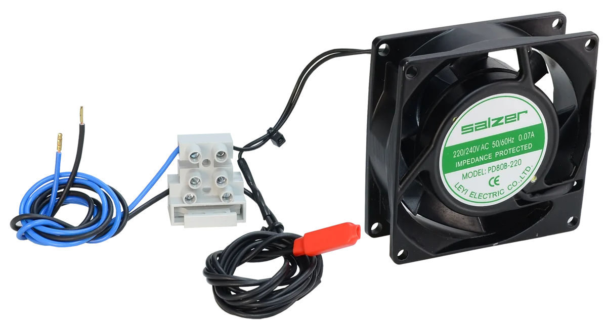 Najważniejsze cechy