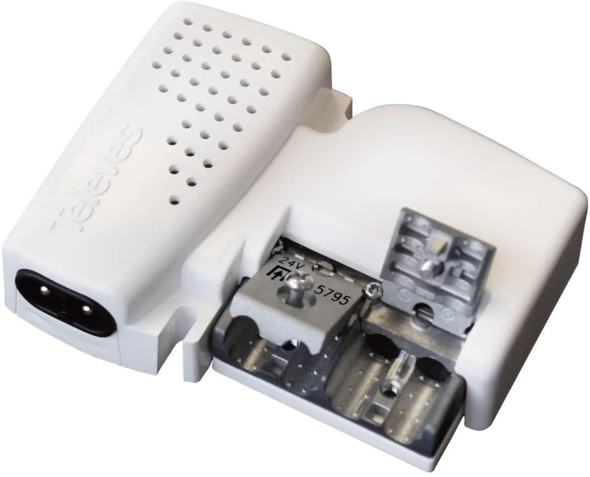 CECHY WYRÓŻNIAJĄCE: