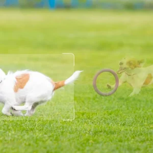 zestaw 2 kamer ip imou cruiser sc 5mp z chmurami imou protec 8f197b2f40e54f8b86acda4236752cf5