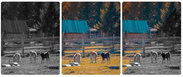 Rejestruje szczegóły w kolorze – idealne do analizy po zdarzeniu