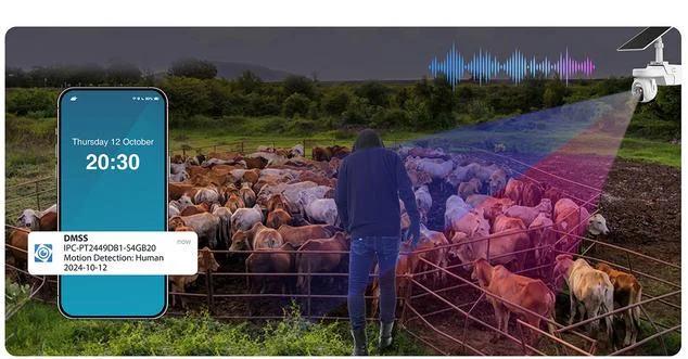 Natychmiastowe alarmy odstraszające intruzów