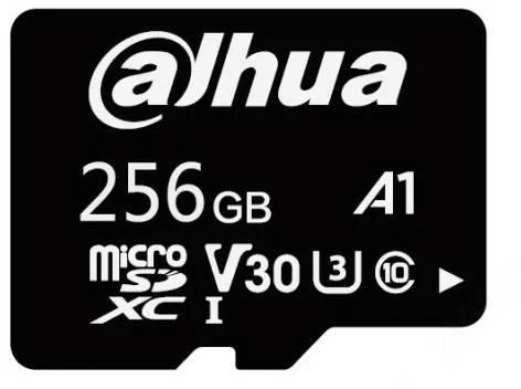 Karta pamięci 256GB DAHUA TF-L100-256GB