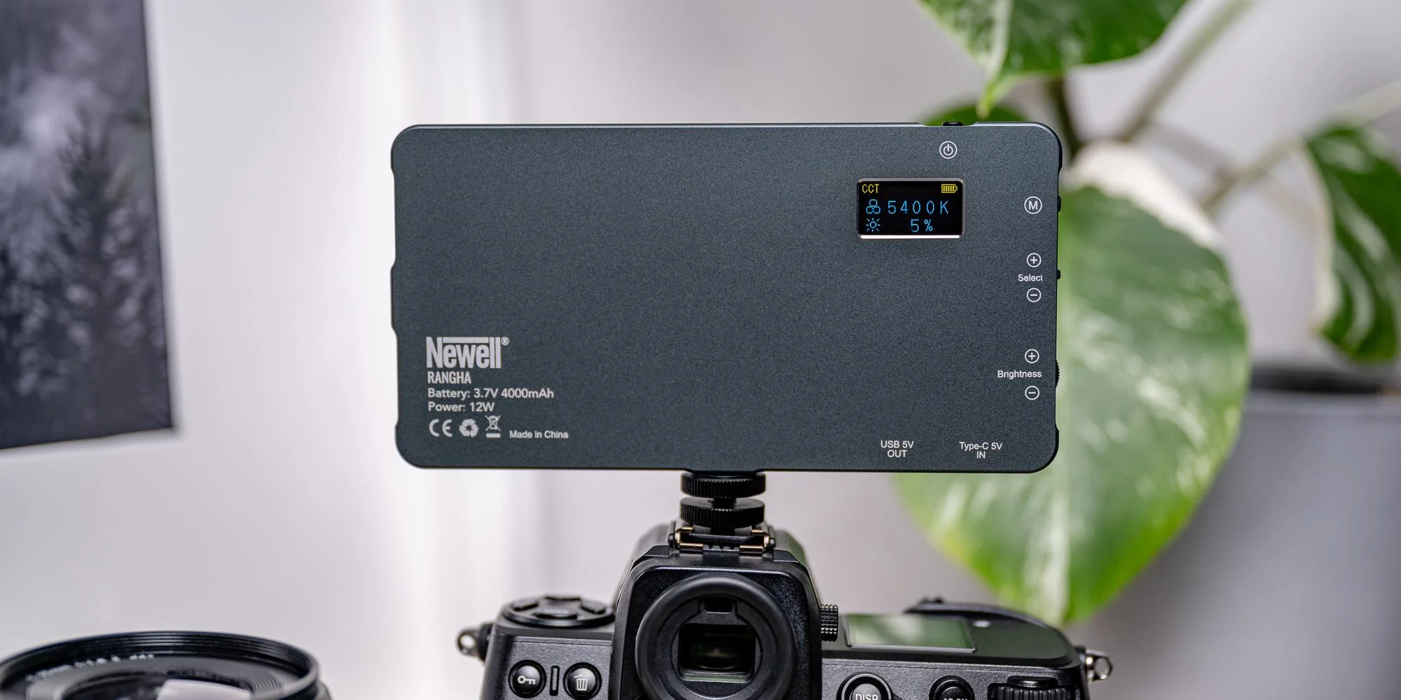 Zestaw Newell Rangha Set - Lampa LED RGB-W Rangha z dyfuzorem i statywem